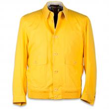 yellow jacket jpg
