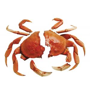 compost crab broken jpg